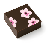 Coconut Blossom