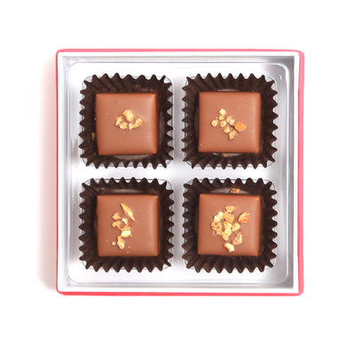 Hazelnut Collection - Zoe’s Chocolate Co.